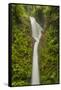 Costa Rica, Monteverde Cloud Forest Biological Reserve. La Paz Waterfall Scenic-Jaynes Gallery-Framed Stretched Canvas