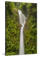 Costa Rica, Monteverde Cloud Forest Biological Reserve. La Paz Waterfall Scenic-Jaynes Gallery-Stretched Canvas