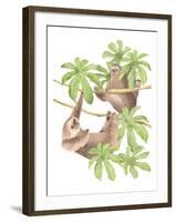 Costa Rica Sloths-Stacy Hsu-Framed Art Print