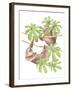 Costa Rica Sloths-Stacy Hsu-Framed Art Print