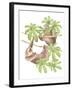 Costa Rica Sloths-Stacy Hsu-Framed Art Print