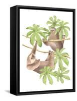 Costa Rica Sloths-Stacy Hsu-Framed Stretched Canvas