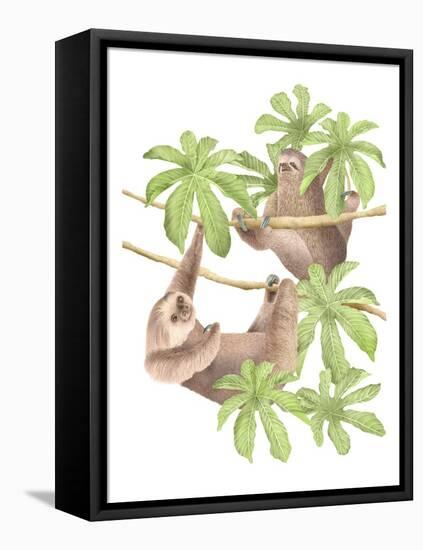 Costa Rica Sloths-Stacy Hsu-Framed Stretched Canvas