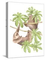 Costa Rica Sloths-Stacy Hsu-Stretched Canvas