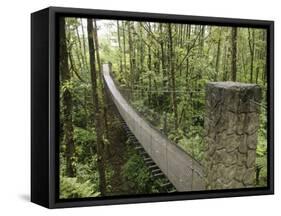 Costa Rica-null-Framed Stretched Canvas