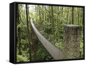 Costa Rica-null-Framed Stretched Canvas