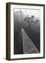 Costa Rica-Moises Levy-Framed Photographic Print