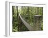 Costa Rica-null-Framed Photographic Print