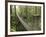 Costa Rica-null-Framed Photographic Print