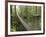Costa Rica-null-Framed Photographic Print