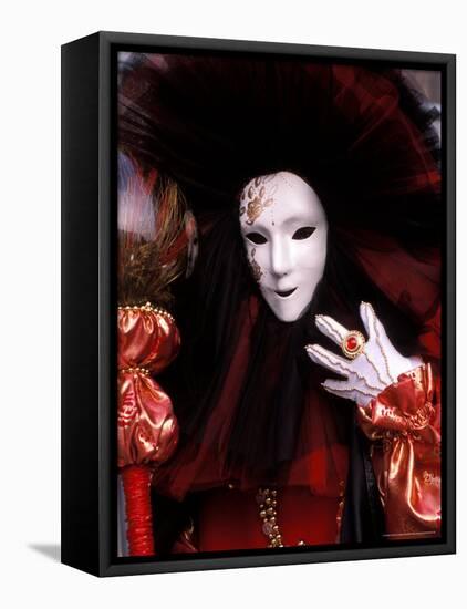 Costume and Mask, Venice Carnival, Italy-Kristin Piljay-Framed Stretched Canvas