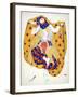 Costume Design for a Dancer in 'Scheherazade', a Ballet First Produced by Diaghilev-Leon Bakst-Framed Giclee Print
