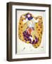 Costume Design for a Dancer in 'Scheherazade', a Ballet First Produced by Diaghilev-Leon Bakst-Framed Giclee Print