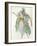 Costume Design for a Dancer-Charles Ricketts-Framed Giclee Print