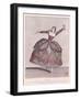 Costume Design For a Fury in Hippolyte et Aricie by Jean-Philippe Rameau-Jean Baptiste Martin-Framed Giclee Print