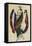 Costume Design for Cleopatra - a Dancer-Leon Bakst-Framed Stretched Canvas