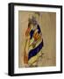 Costume Design for the Ballet 'Islamey' by Mily Balakirev (Tempera on Paper)-Leon Bakst-Framed Giclee Print