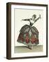 Costume for a Fury in "Iphigenia in Tauris"-Jean Baptiste Martin-Framed Giclee Print