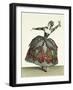 Costume for a Fury in "Iphigenia in Tauris"-Jean Baptiste Martin-Framed Giclee Print