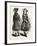 Costume for Girl of Ten Back and Front, Fashion, 1882-null-Framed Giclee Print