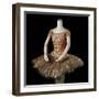 Costume for the Sleeping Beauty, 1968-null-Framed Giclee Print