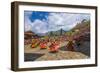 Costumed Dancers at Religious Festivity with Many Visitors, Paro Tsechu, Bhutan-Michael Runkel-Framed Photographic Print