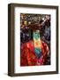 Costumed Dancers at Religious Festivity with Many Visitors, Paro Tshechu, Bhutan-Michael Runkel-Framed Photographic Print