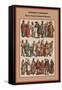 Costumes of Peasantry Russia, Poland, Scotland and Hungary-Friedrich Hottenroth-Framed Stretched Canvas