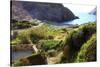 Cosy Beach, Cala Fico, San Pietro Island, Carloforte, Sardinia, Italy-Stefano Amantini-Stretched Canvas