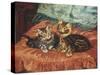 Cosy Family-Wilson Hepple-Stretched Canvas