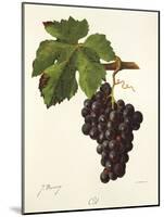 Cot Grape-J. Troncy-Mounted Giclee Print