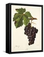 Cot Grape-J. Troncy-Framed Stretched Canvas