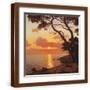 Brown Frame
