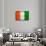 Cote D'Ivoire Flag Design with Wood Patterning - Flags of the World Series-Philippe Hugonnard-Framed Stretched Canvas displayed on a wall