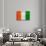 Cote D'Ivoire Flag Design with Wood Patterning - Flags of the World Series-Philippe Hugonnard-Stretched Canvas displayed on a wall