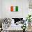 Cote D'Ivoire Flag Design with Wood Patterning - Flags of the World Series-Philippe Hugonnard-Art Print displayed on a wall