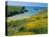 Cote De Port Kerledan, Belle-Ile-En-Mer, Breton Islands, Morbihan, Brittany, France-J P De Manne-Stretched Canvas