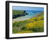 Cote De Port Kerledan, Belle-Ile-En-Mer, Breton Islands, Morbihan, Brittany, France-J P De Manne-Framed Photographic Print