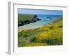 Cote De Port Kerledan, Belle-Ile-En-Mer, Breton Islands, Morbihan, Brittany, France-J P De Manne-Framed Photographic Print