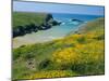 Cote De Port Kerledan, Belle-Ile-En-Mer, Breton Islands, Morbihan, Brittany, France-J P De Manne-Mounted Photographic Print