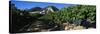 Cote Du Rhone Vineyard, Provence, France-null-Stretched Canvas