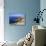 Cote Sauvage, Quiberon, Normandy, France-Jeremy Lightfoot-Stretched Canvas displayed on a wall