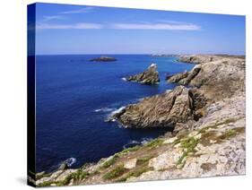 Cote Sauvage, Quiberon, Normandy, France-Jeremy Lightfoot-Stretched Canvas