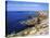 Cote Sauvage, Quiberon, Normandy, France-Jeremy Lightfoot-Stretched Canvas