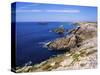 Cote Sauvage, Quiberon, Normandy, France-Jeremy Lightfoot-Stretched Canvas