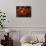 Cotinus Grace 2-Charles Bowman-Photographic Print displayed on a wall