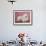 Coton De Tulear Dog Standing on Rug-Petra Wegner-Framed Photographic Print displayed on a wall