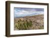 Cotopaxi National Park, a large forested area known for the active, snow-capped Cotopaxi volcano, E-Alexandre Rotenberg-Framed Photographic Print