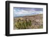 Cotopaxi National Park, a large forested area known for the active, snow-capped Cotopaxi volcano, E-Alexandre Rotenberg-Framed Photographic Print