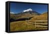 Cotopaxi National Park, Snow-Capped Cotopaxi Volcano-John Coletti-Framed Stretched Canvas